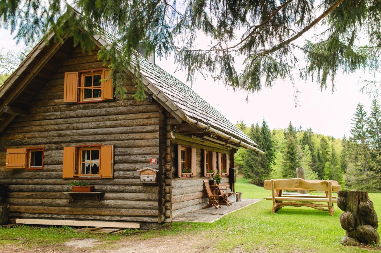 보히니 Wood House Irena-Pocitniska Hisa 빌라 외부 사진